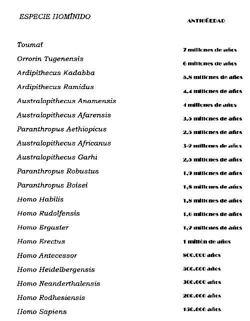 Homínidos, lista en orden de antigüedad, útiles, homo habilis