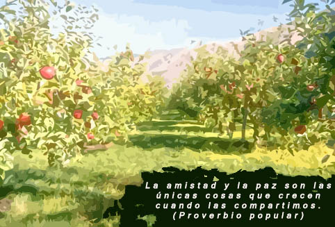 Aforismos y frases célebres: amistad Aforismos y frases célebres: amistad